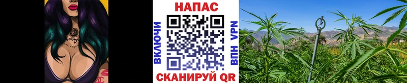 Как найти наркотики Мураши hydra ТОР МАРИХУАНА КОКАИН Меф мяу мяу ГАШИШ А ПВП