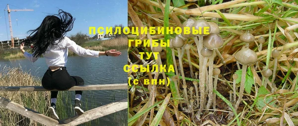 ешки Богданович