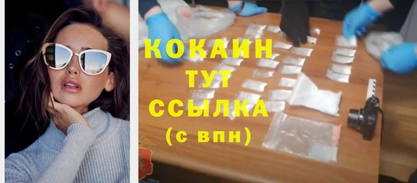крисы Богородицк