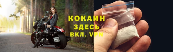 ешки Богданович