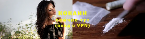 крисы Богородицк