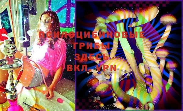 ешки Богданович