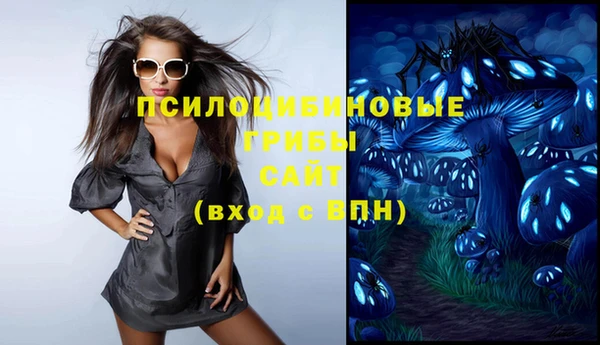 крисы Богородицк