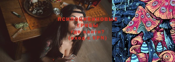 каннабис Корсаков