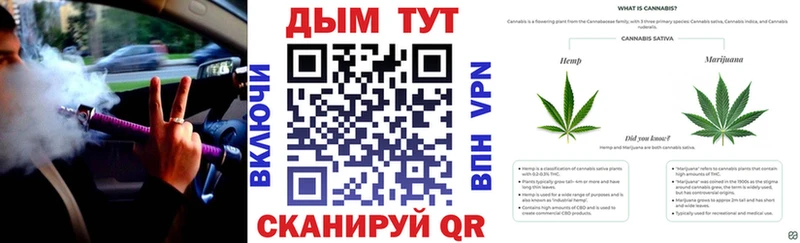 Бошки марихуана ГИДРОПОН  где купить   kraken маркетплейс  Мураши 